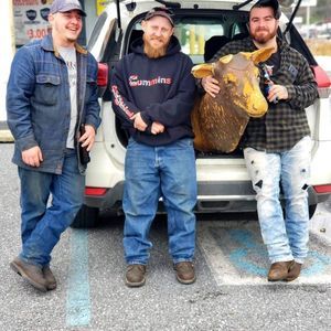 Meet your Posher, Jayar